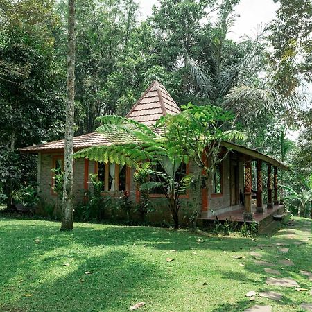 Saridevi Ecolodge Jatiluwih Luaran gambar