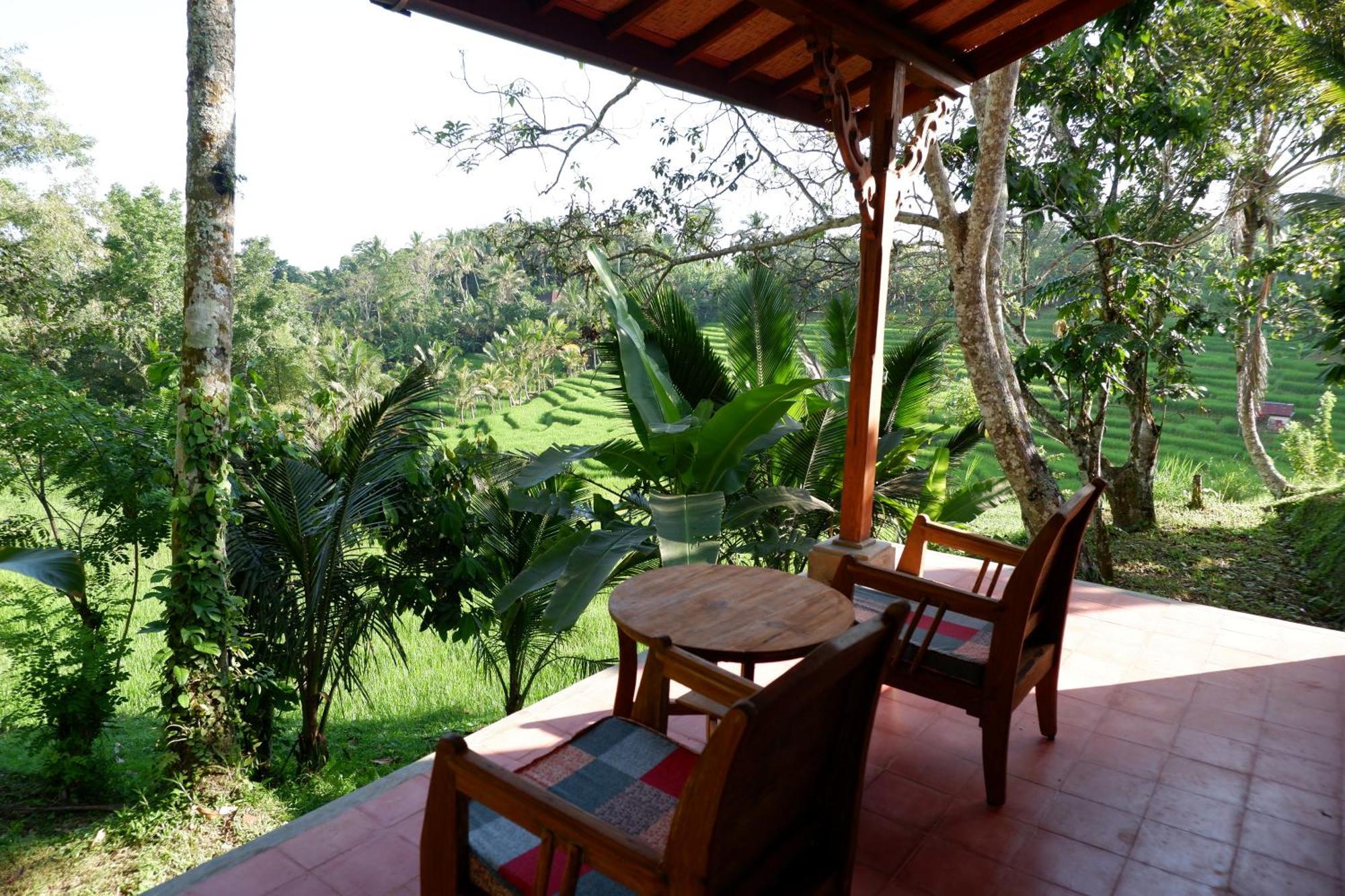Saridevi Ecolodge Jatiluwih Luaran gambar