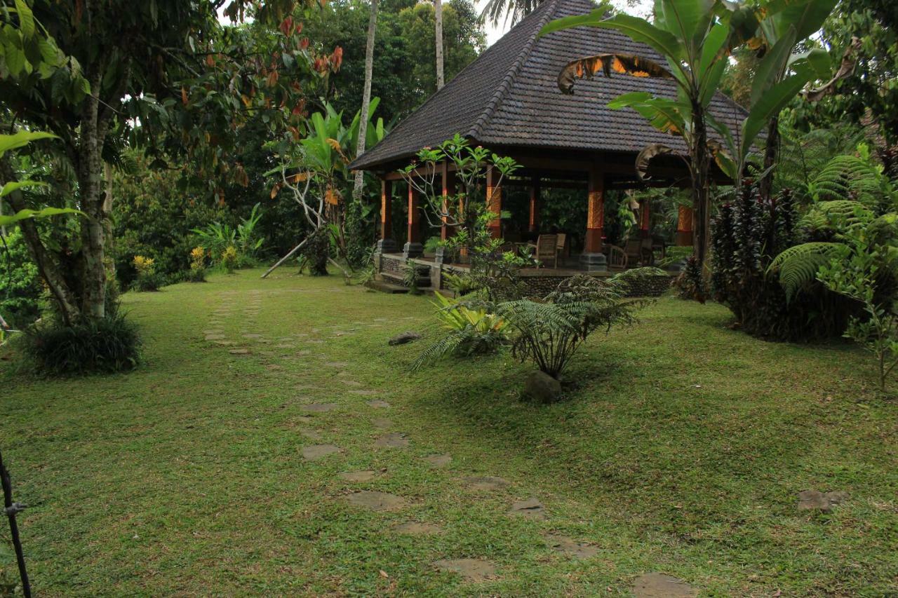 Saridevi Ecolodge Jatiluwih Luaran gambar