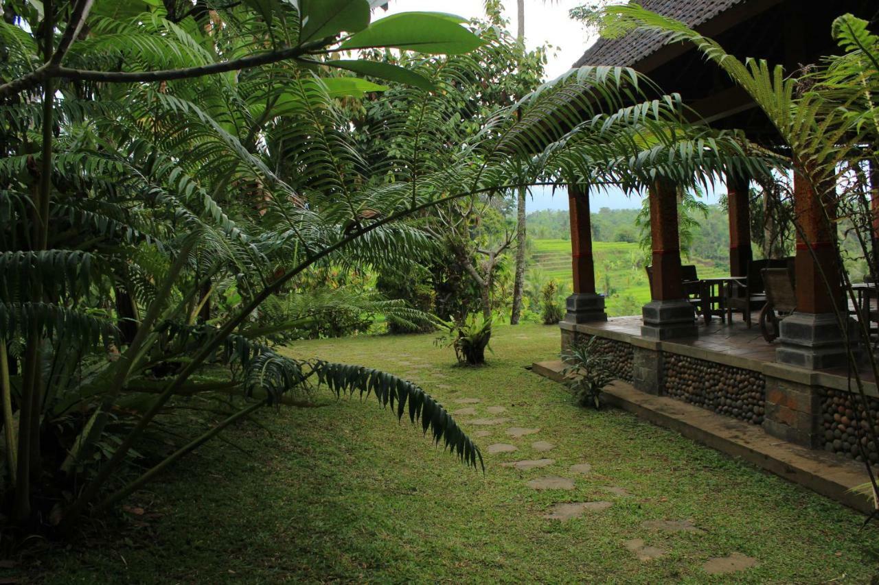 Saridevi Ecolodge Jatiluwih Luaran gambar