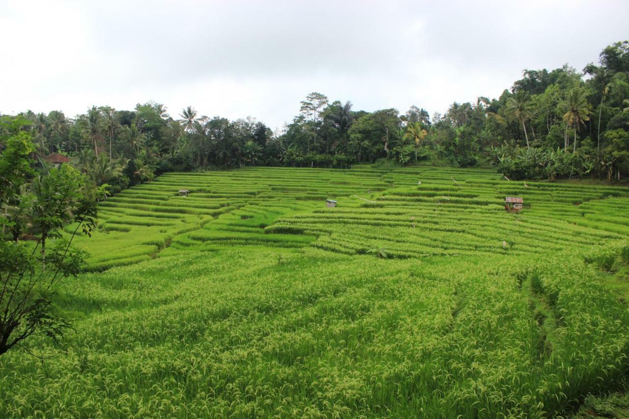 Saridevi Ecolodge Jatiluwih Luaran gambar