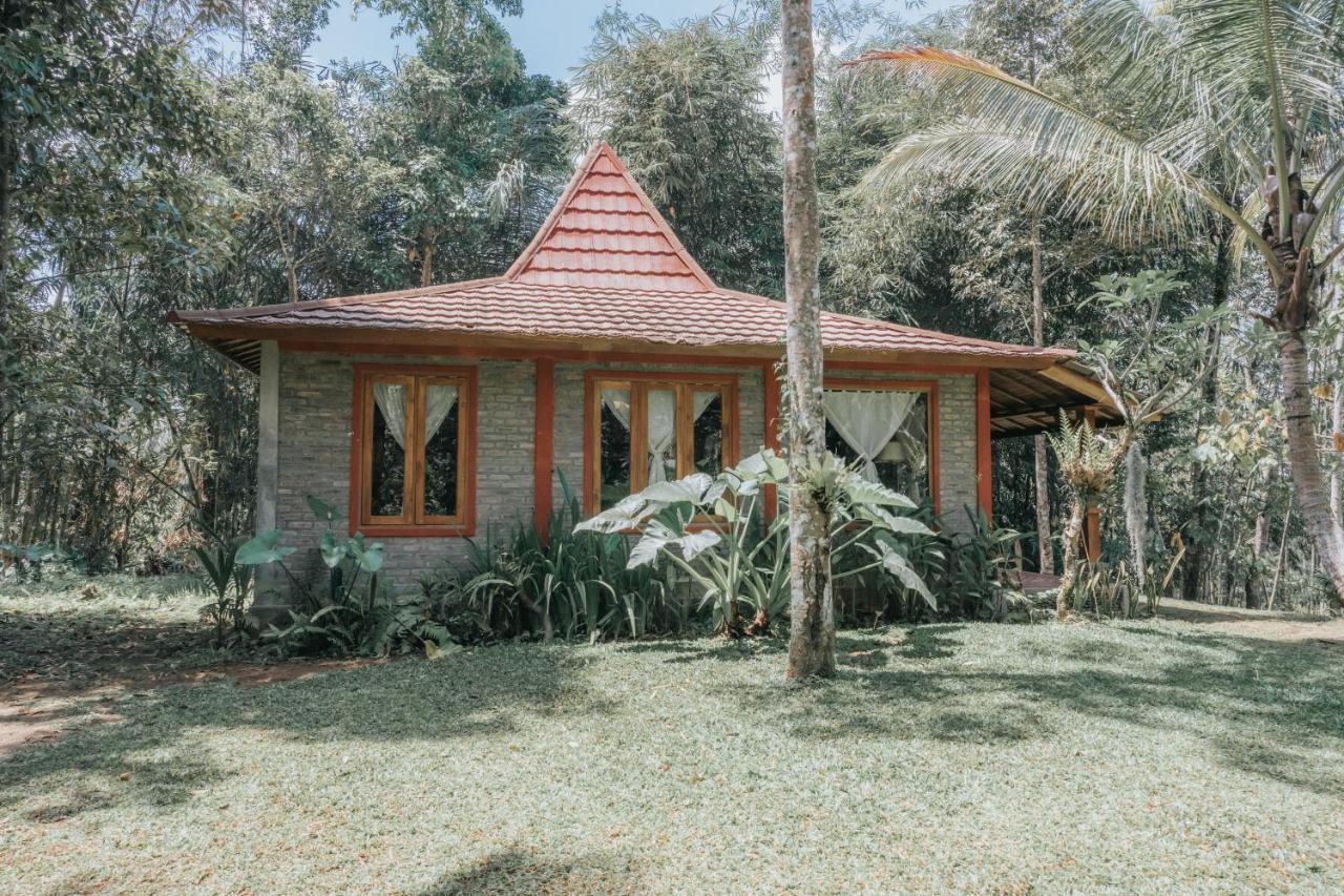 Saridevi Ecolodge Jatiluwih Luaran gambar