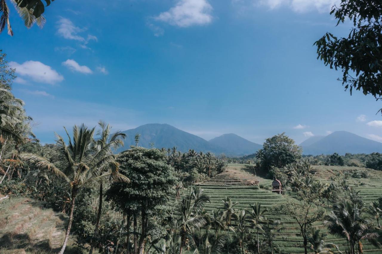 Saridevi Ecolodge Jatiluwih Luaran gambar